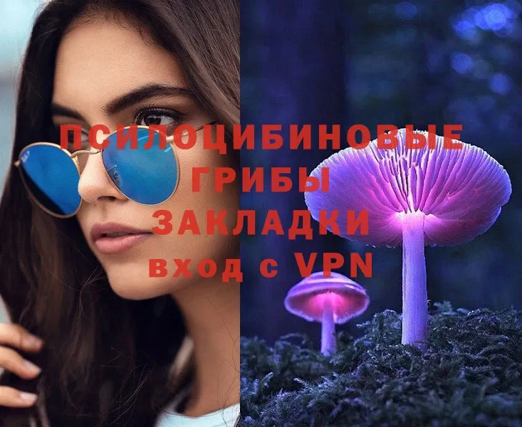 Галлюциногенные грибы MAGIC MUSHROOMS  Камбарка 